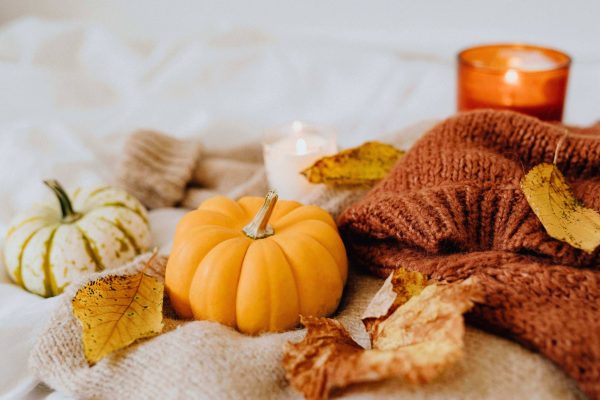 offre d'automne